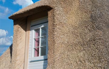 Lewth thatch roof disadvantages